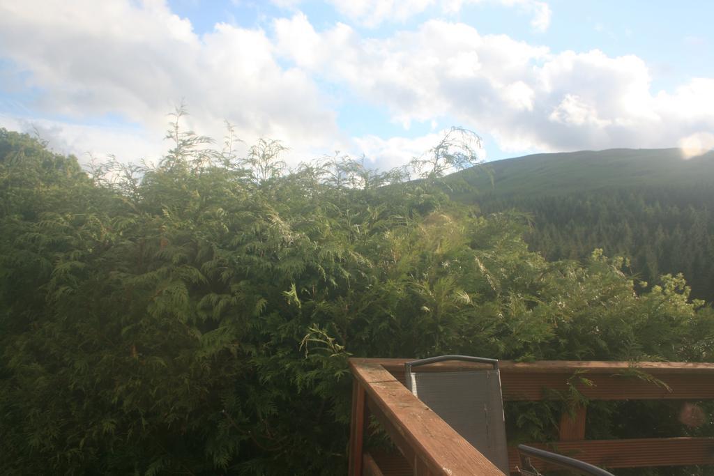Laragh Mountain View Lodge Saggart Room photo